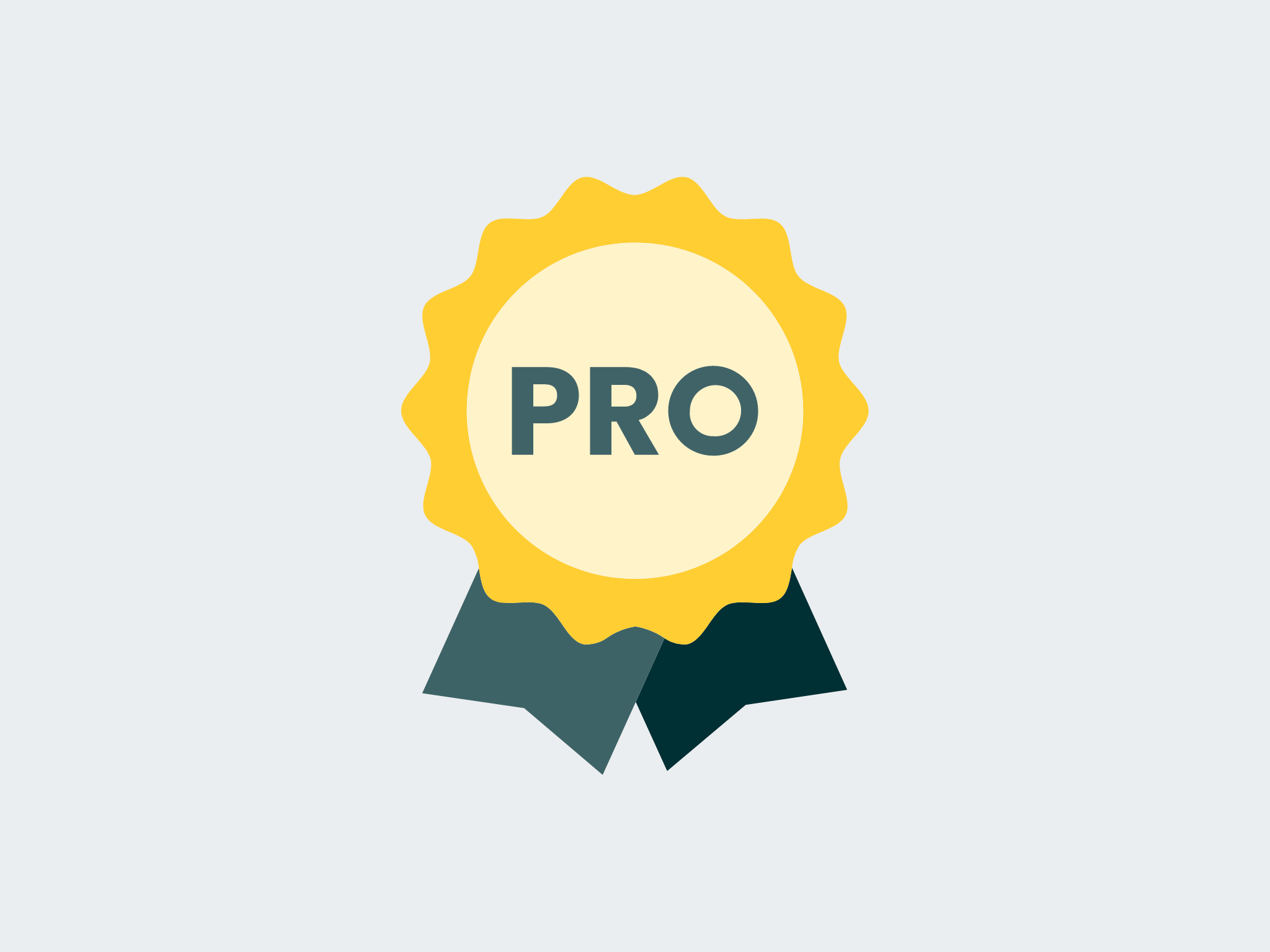 PRO.png
